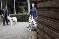 Coralie, Keona & Elli